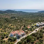 Holiday home Olive